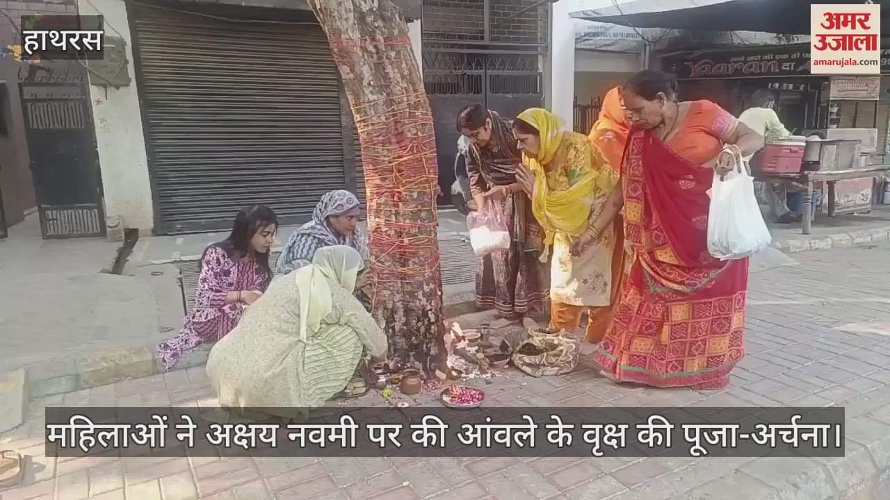 VIDEO : महिलाओं ने अक्षय नवमी पर की आंवले के वृक्ष की पूजा-अर्चना