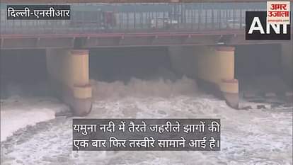 VIDEO : Toxic foam again seen in Delhi Yamuna