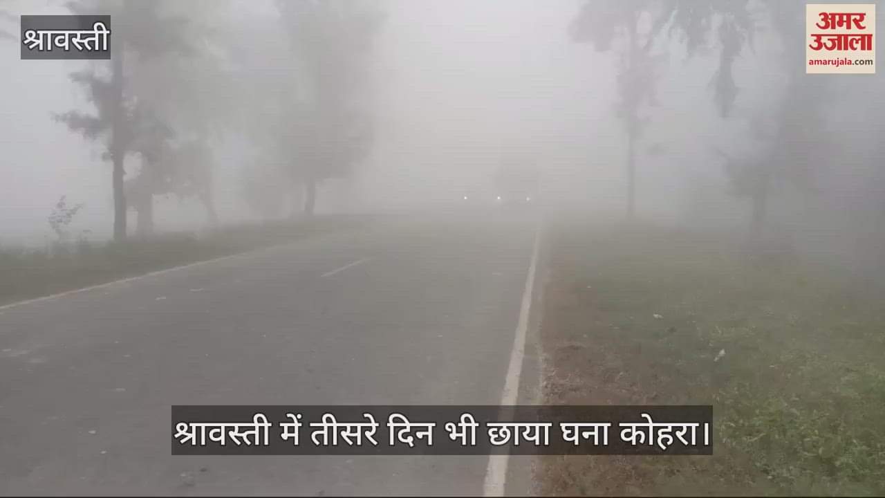 VIDEO : बूंद बनकर बरस रहा कोहरा, श्रावस्ती में तीसरे दिन भी छाया घना कोहरा