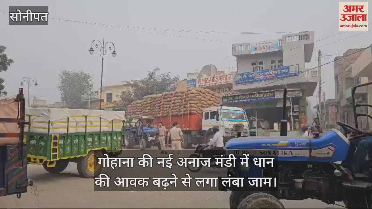 VIDEO : गोहाना मंडी में बढ़ी धान की आवक, 500 मीटर लंबा जाम, कई वाहन फंसे