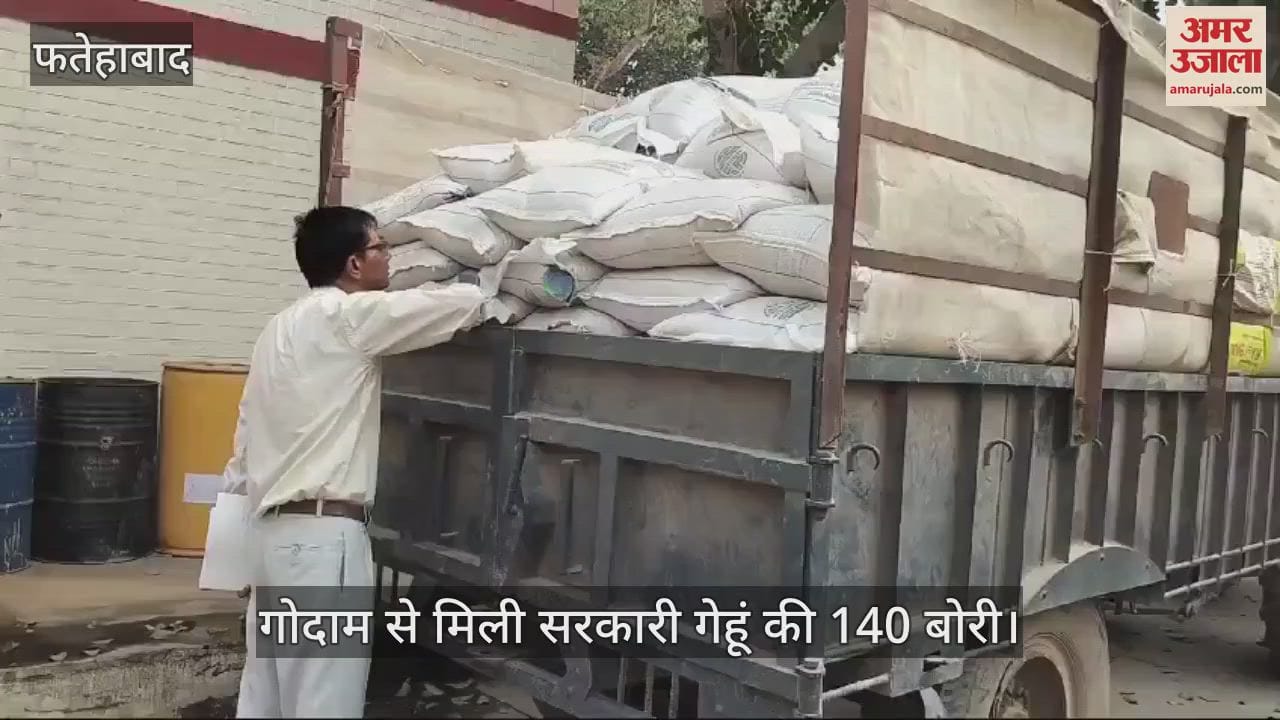 VIDEO : टोहाना में सरकारी गेहूं के बीज की कालाबजारी, प्राइवेट गोदाम में मिली 140 बोरी