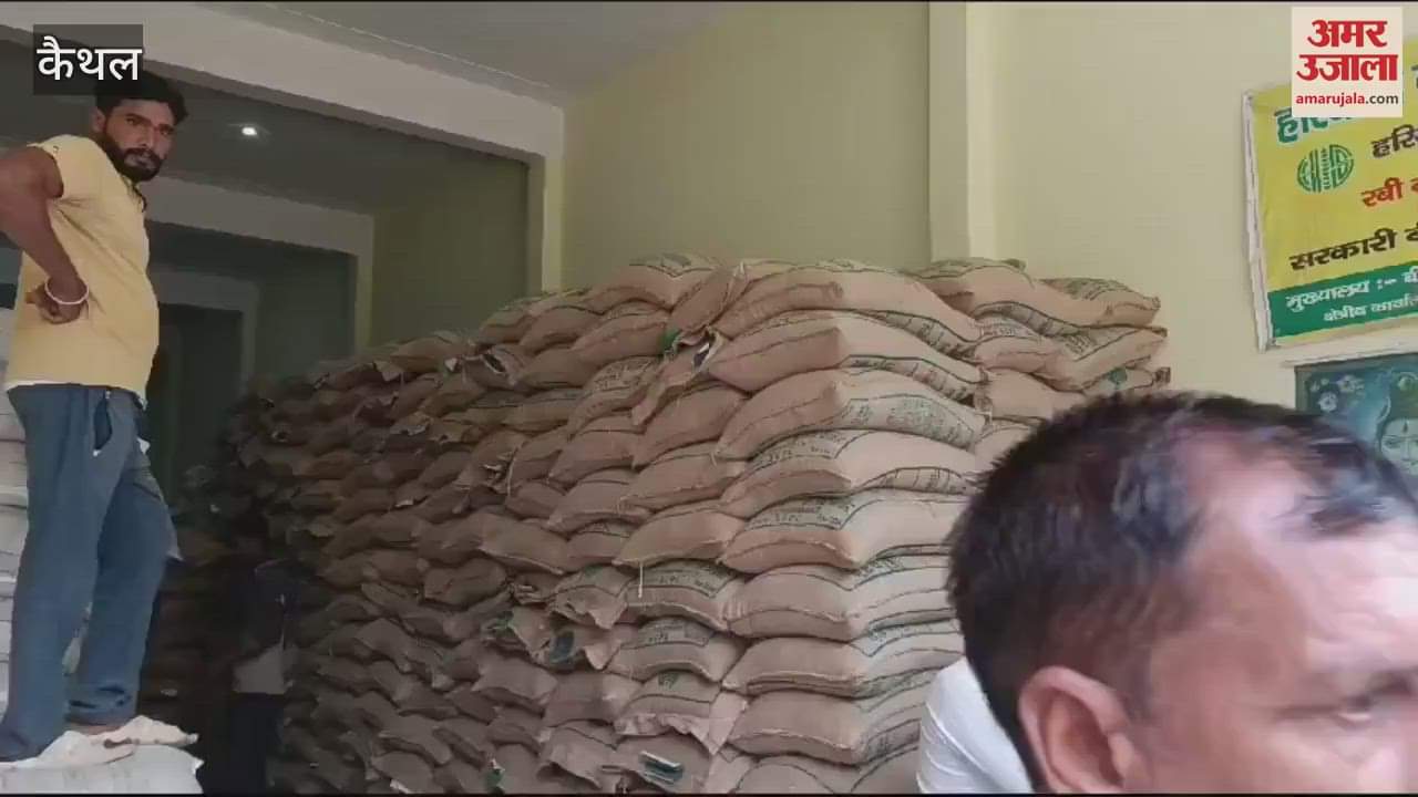 VIDEO : Wheat sowing work continues in Kaithal, crowd gathering at seed centers also