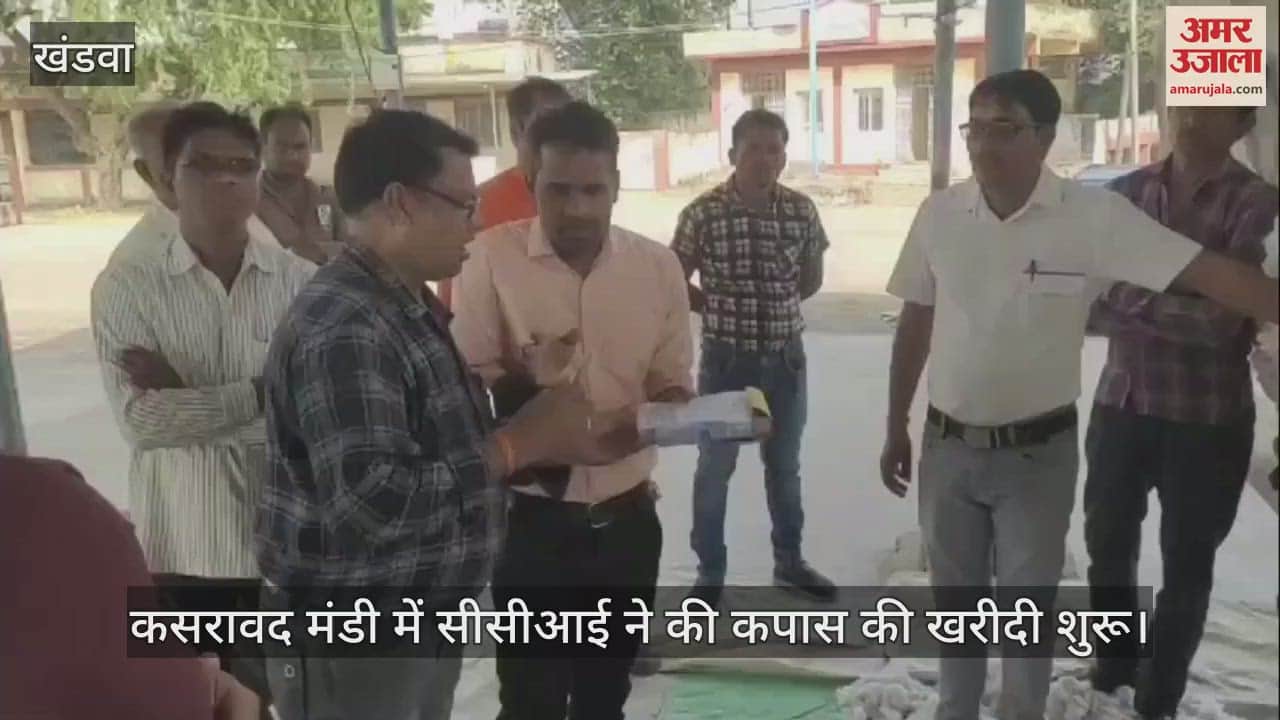 Khargone: CCI started buying cotton in Kasrawad Mandi