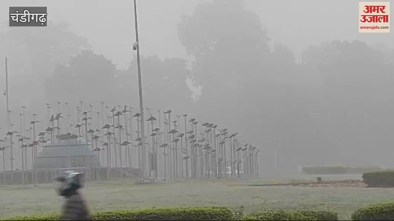 VIDEO : Fog in Chandigarh