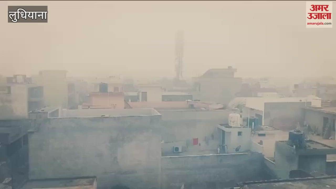 VIDEO : Fog in Ludhiana
