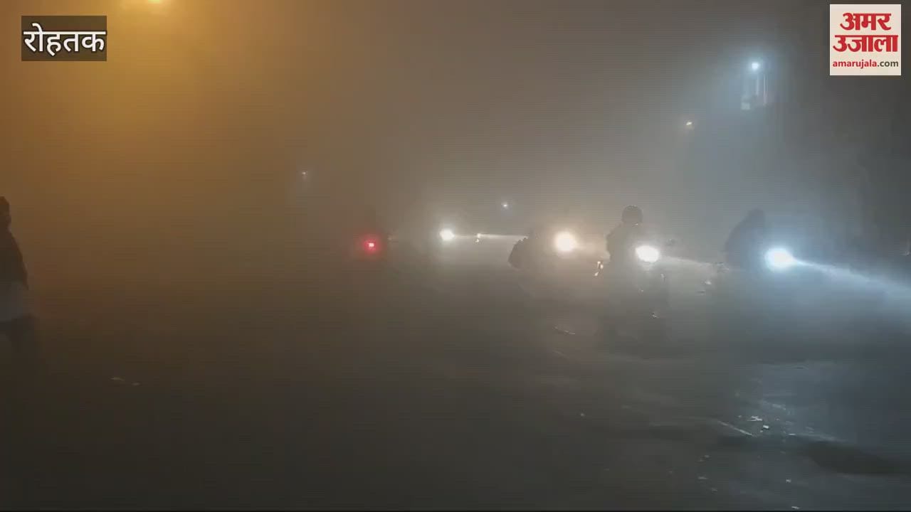 VIDEO : रोहतक में कोहरे के कारण सड़कों पर बढ़ा जोखिम, वाहन चालकों को सावधानी बरतने की सलाह