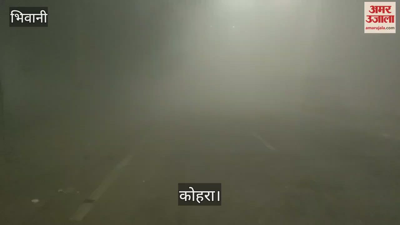 VIDEO : भिवानी में दूसरे दिन भी छाई धूंध, ट्रेनों का शेड्यूल बिगड़ा