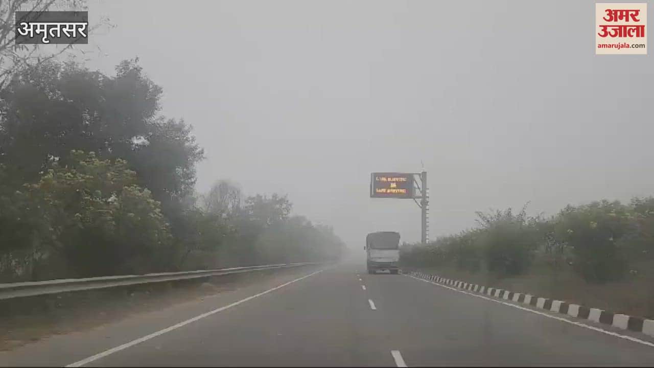 VIDEO : Fog in Punjab
