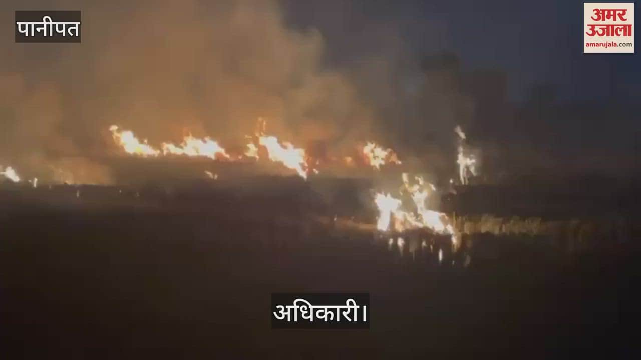 VIDEO : पानीपत में नहीं थम रही पराली की आग, अब तक पराली जलाने के 31 मामले सामने आए