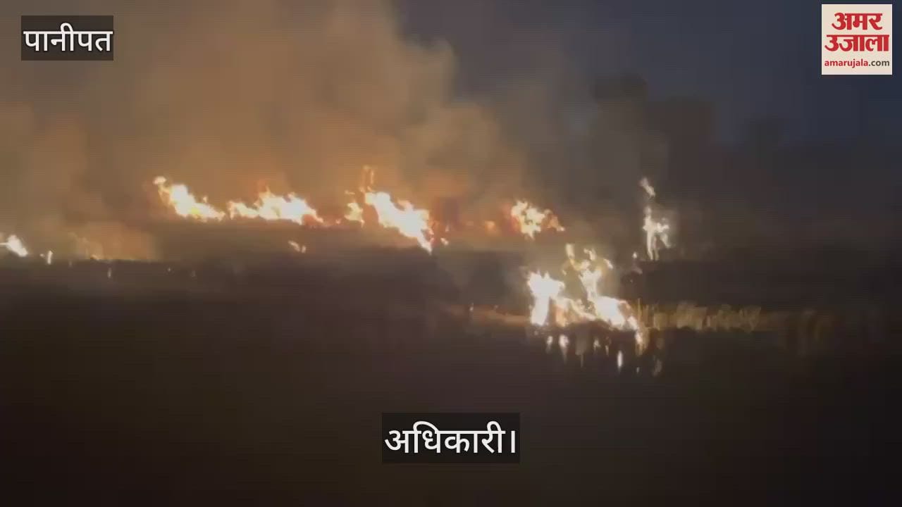 VIDEO : पानीपत में नहीं थम रही पराली की आग, अब तक पराली जलाने के 31 मामले सामने आए