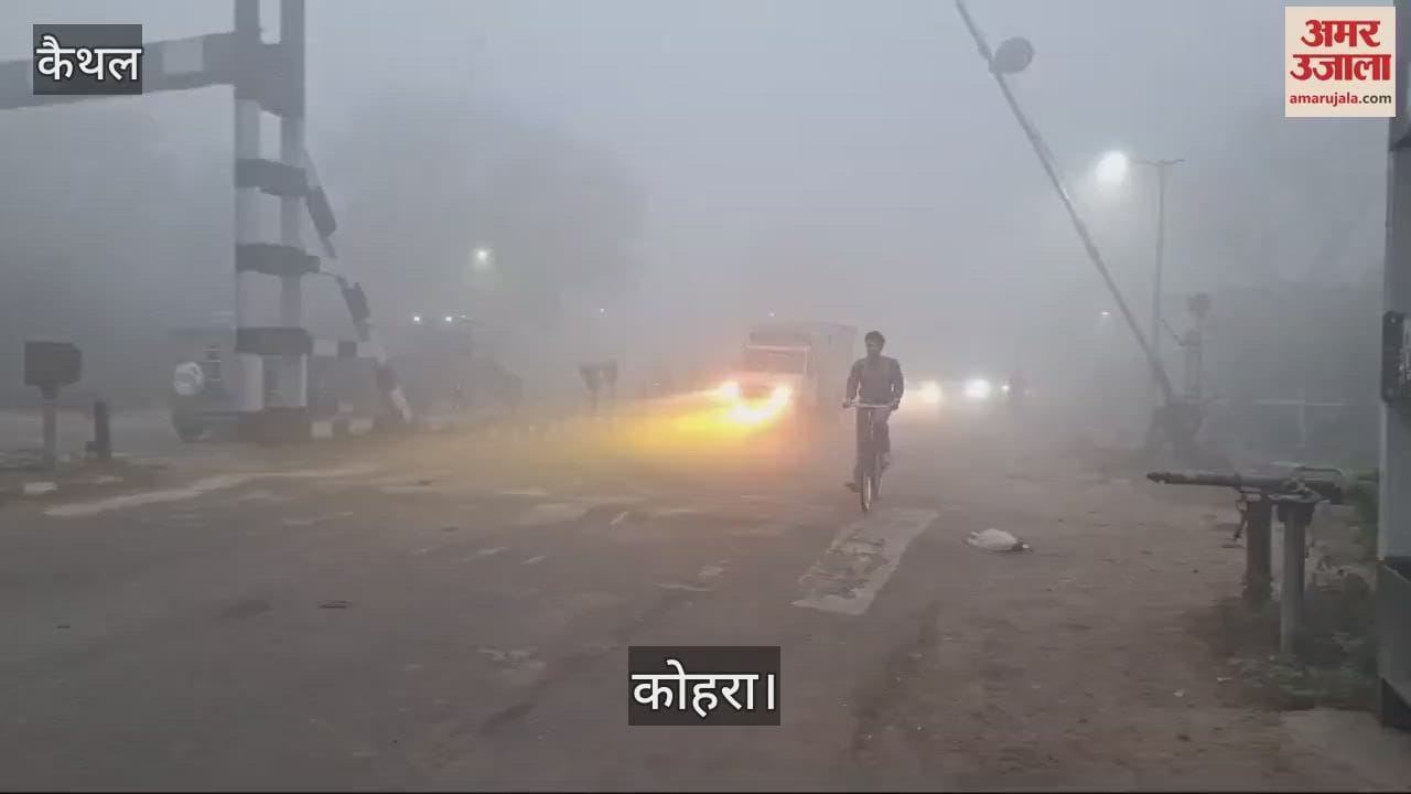 VIDEO : कैथल में सीजन की पहली धुंध, दृश्यता 10 मीटर रही; तापमान में गिरावट