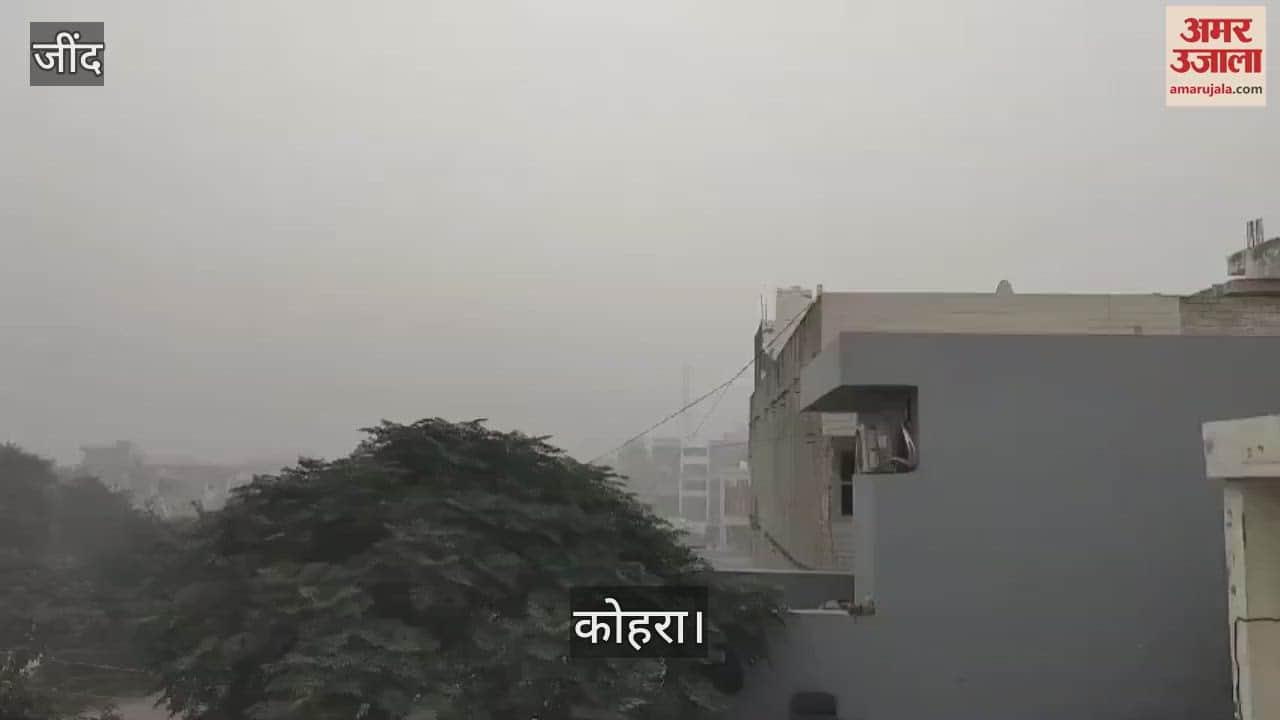 VIDEO : जींद में धूंध ने रोकी राहगीरों की राह, रात को दो मीटर तो सुबह दस मीटर रही दृश्यता
