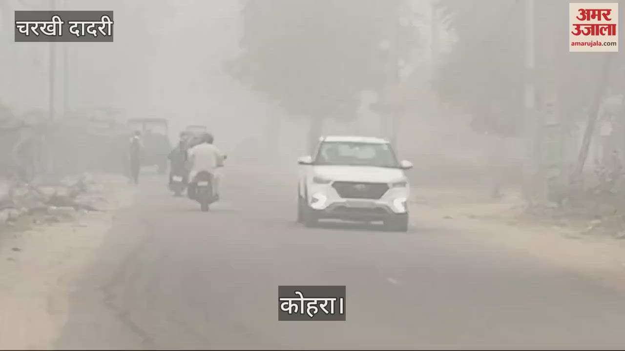 VIDEO : सीजन का पहला कोहरा छाया, चरखी दादरी में जन-जीवन प्रभावित