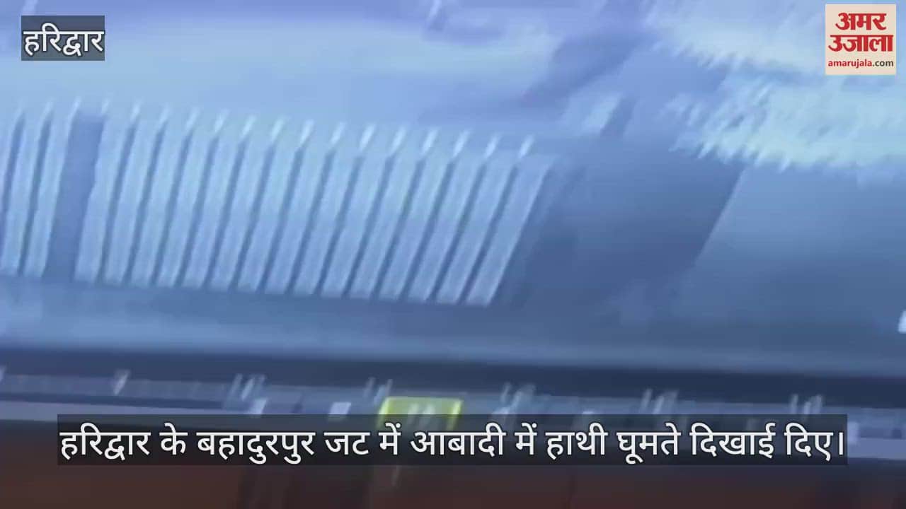 VIDEO : Elephants were seen roaming in the populated area of Bahadurpur Jat in Haridwar