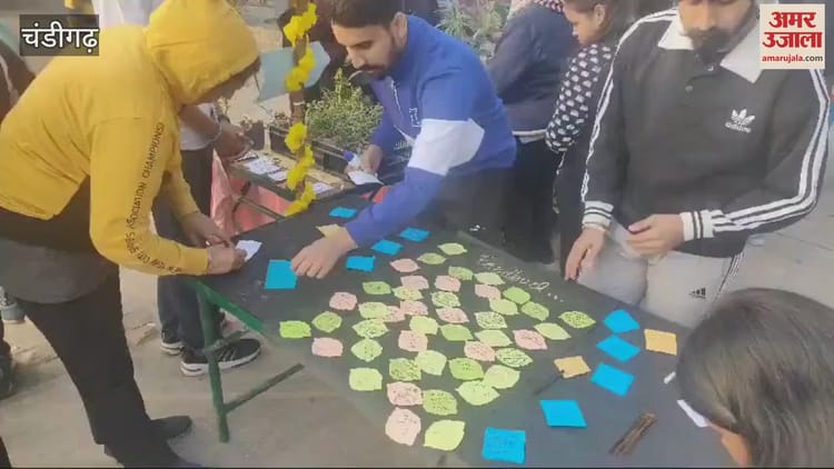 Video : Plants Distributed By Sd College On Guru Parv In Chandigarh – Amar Ujala Hindi News Live