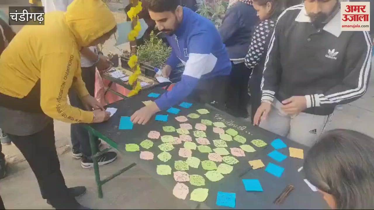 VIDEO : Plants distributed by SD College on Guru Parv in Chandigarh