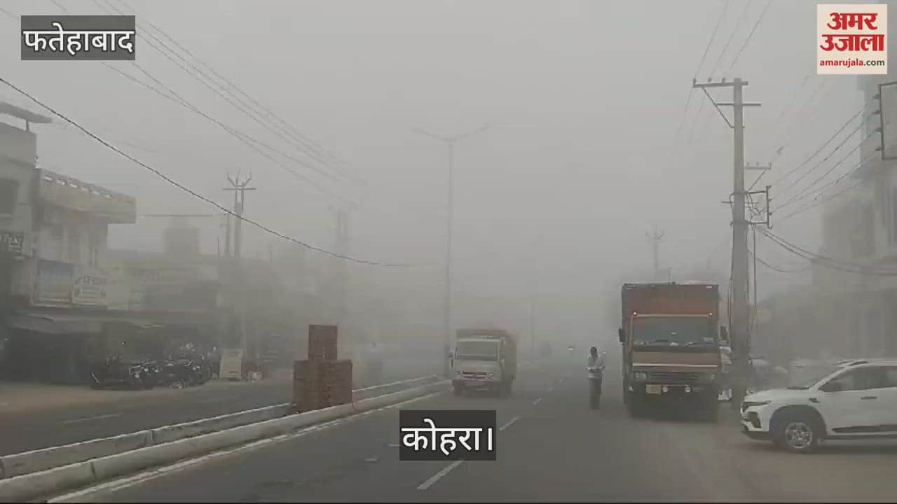 VIDEO : फतेहाबाद में लगातार चार दिन से धुंध के कारण जनजीवन अस्त व्यस्त, वाहनों की रफ्तार हुई धीमी