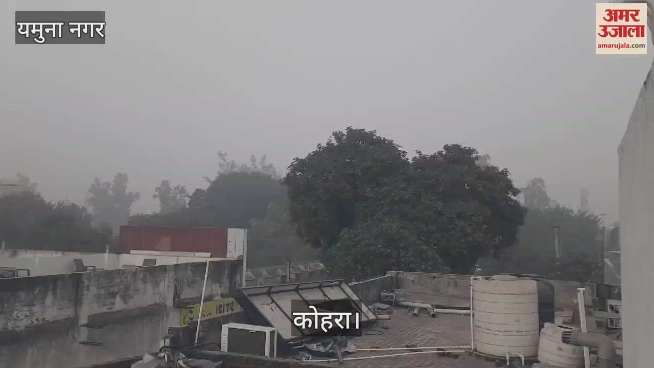 VIDEO : यमुनानगर में छाई धुंध की सफेद चादर, पारा लुढ़का