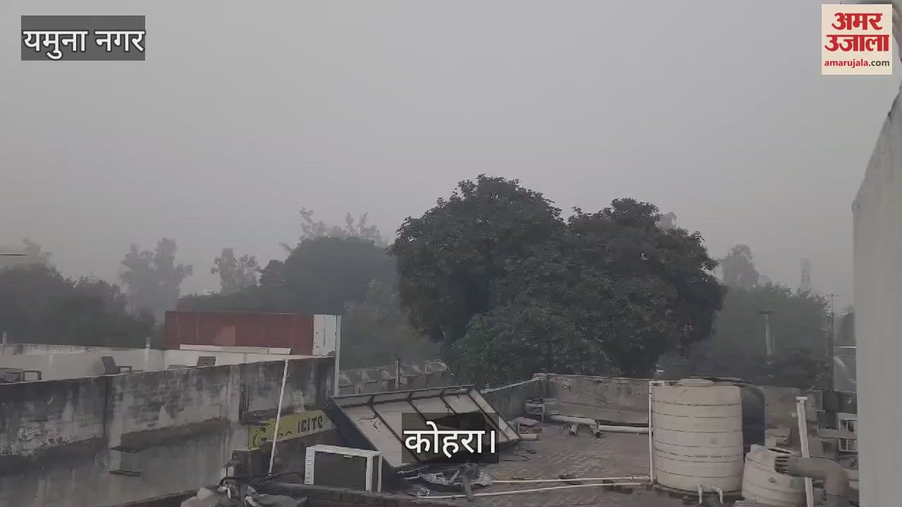 VIDEO : यमुनानगर में छाई धुंध की सफेद चादर, पारा लुढ़का