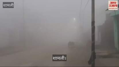 VIDEO : Shamli district remained covered with fog on the third day as well