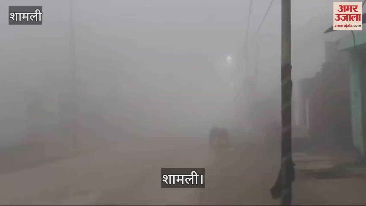 VIDEO : Shamli district remained covered with fog on the third day as well