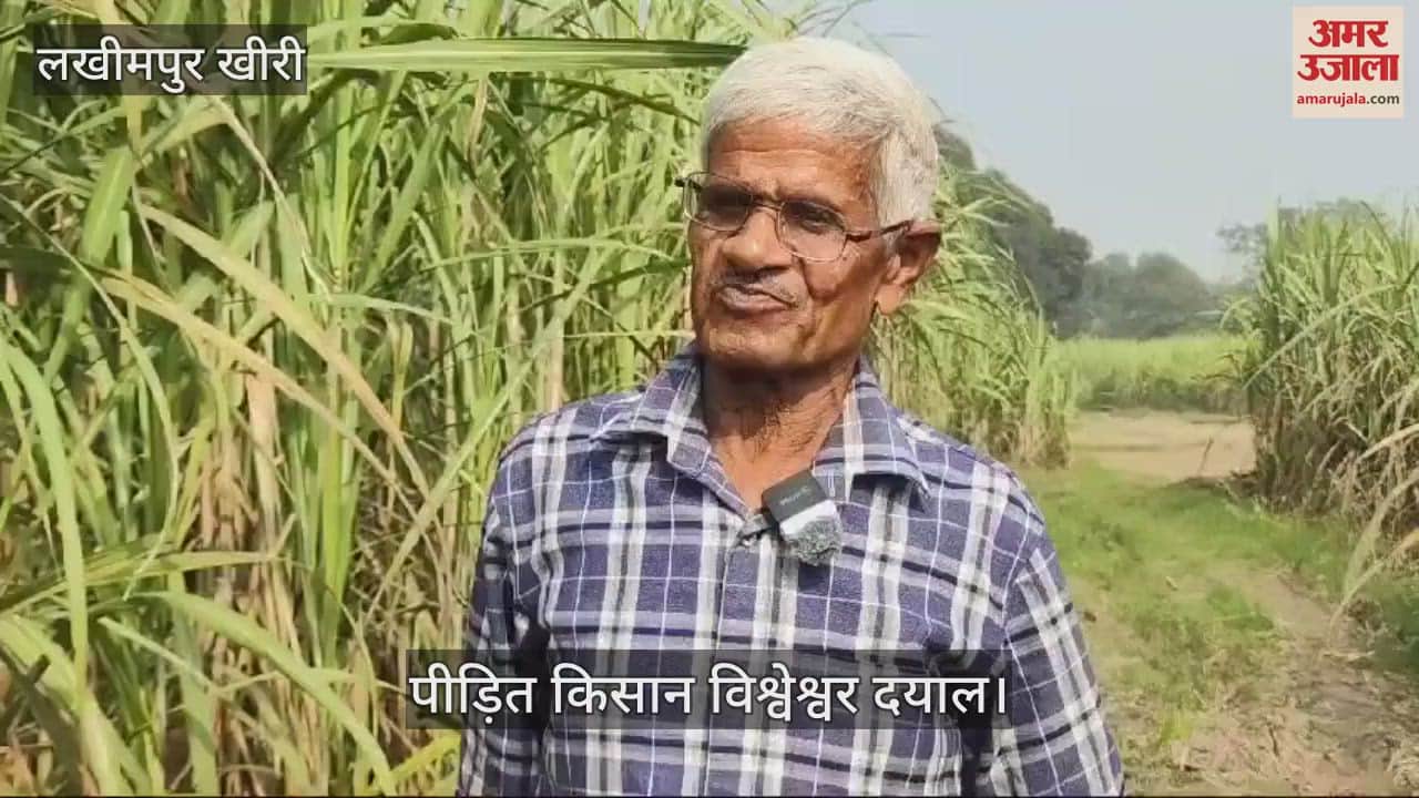 VIDEO : भूमि पैमाइश प्रकरण... पीड़ित किसान ने कहा- अफसर निलंबित हुए, लेकिन हमारा काम नहीं हुआ