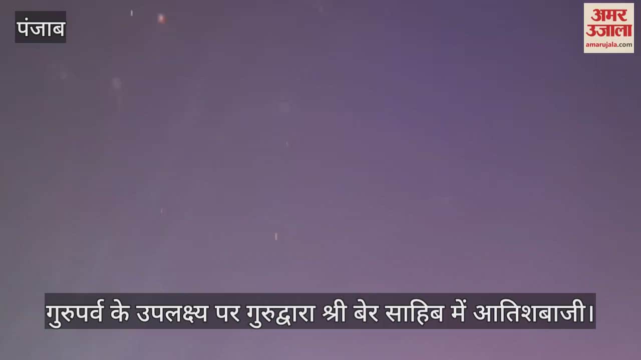 VIDEO : गुरुद्वारा श्री बेर साहिब में 10 लाख श्रद्धालुओं ने टेका माथा, रात को हुई आतिशबाजी