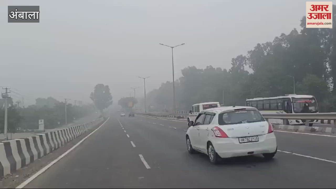 VIDEO : Fog slowed down the speed of NH 44, drivers faced problems throughout the day
