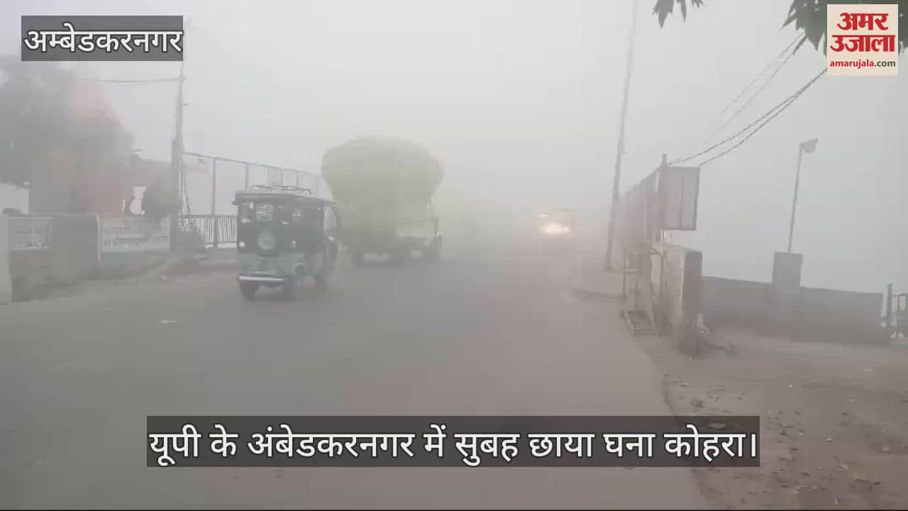 VIDEO : यूपी के अंबेडकरनगर में सुबह छाया घना कोहरा