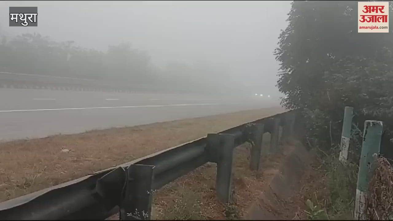 VIDEO : यमुना एक्सप्रेस-वे पर कोहरे की चादर, दृश्यता हुई बेहद कम