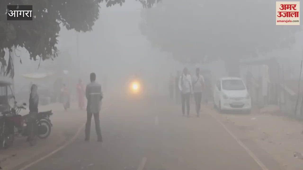 VIDEO : मथुरा के बलदेव क्षेत्र में छाई कोहरे की चादर...कम हुई वाहनों की रफ्तार