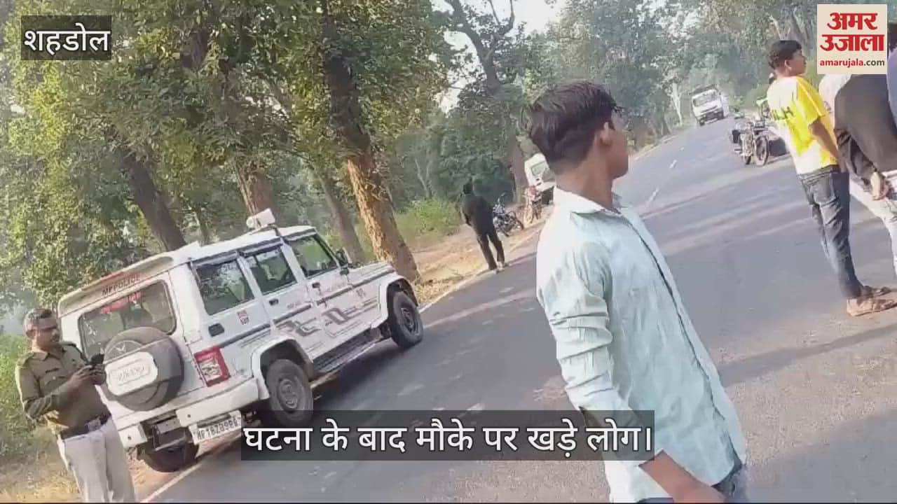 The vehicle coming to collect tomatoes collided with a tree, businessman died, driver serious