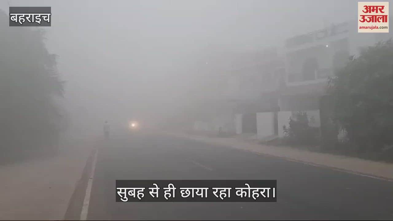 VIDEO : बहराइच में सुबह से ही छाया रहा कोहरा, कृषि विभाग के अफसर बोले- इससे फसलों को नहीं होगा नुकसान, बलरामपुर में भी यही हाल