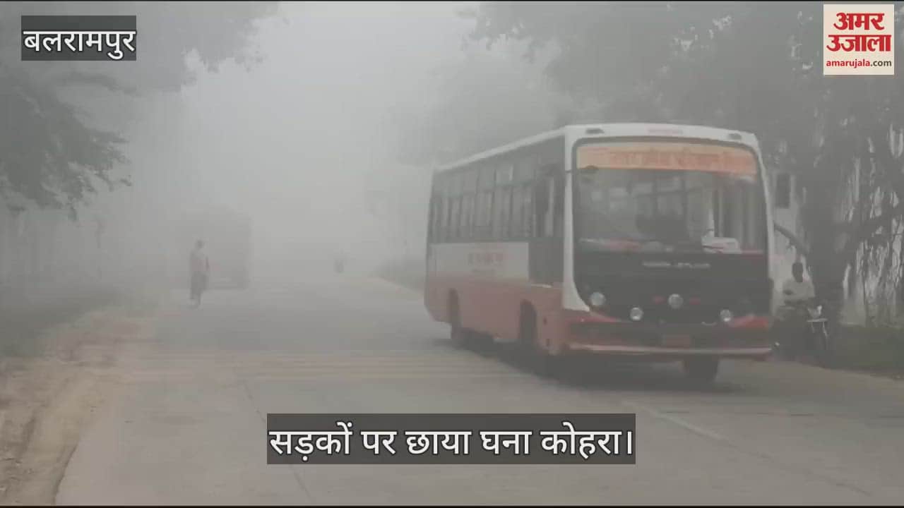 VIDEO : बलरामपुर: सड़कों पर छाया घना कोहरा, आवागमन में स्कूली बच्चों को हुई दिक्कत