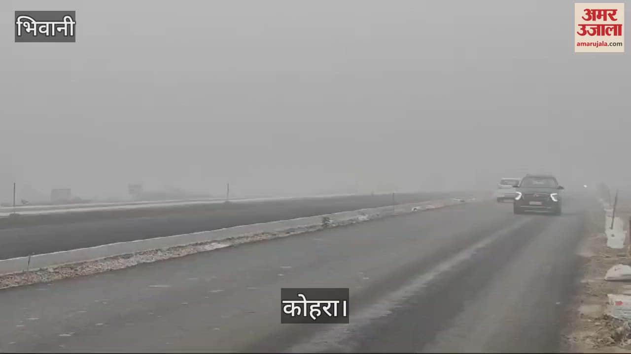 VIDEO : भिवानी में लगातार तीसरे दिन गहराई धुंध, दृश्यता दस मीटर से भी रही कम; तेज हवा ने बढ़ाई ठिठुरन