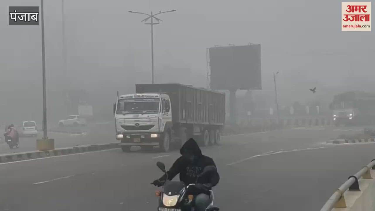 VIDEO : Fog in Bathinda