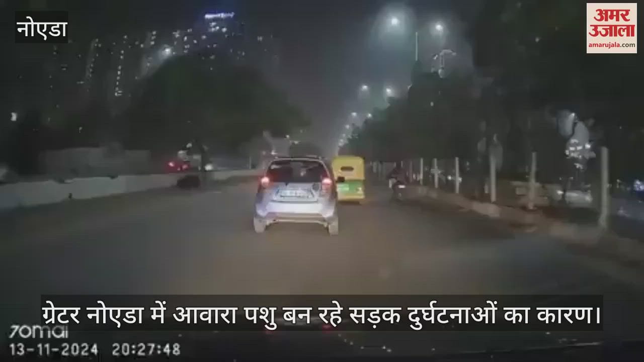 VIDEO : Bike rider injured after being hit by a roaming bull in Greater Noida video