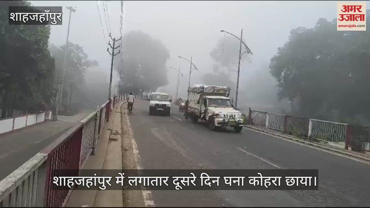 VIDEO : शाहजहांपुर में सुबह छाया रहा घना कोहरा, रातभर टपकती रही ओस