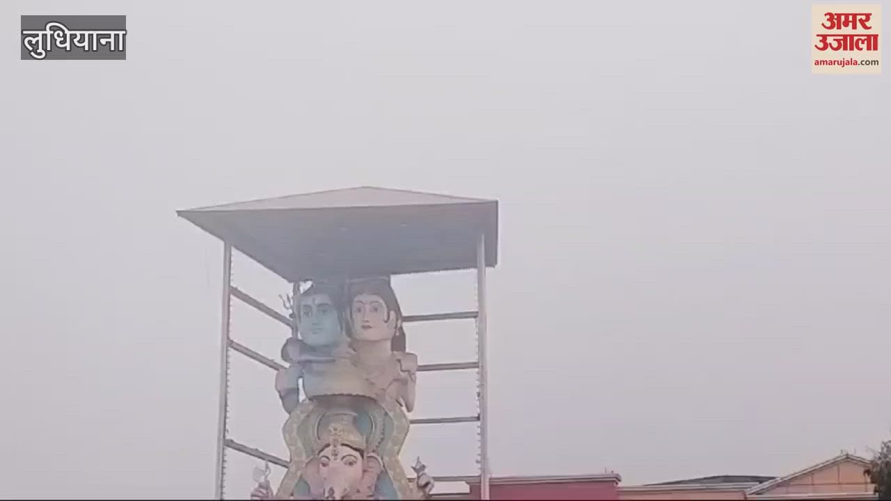 VIDEO : Fog in Ludhiana