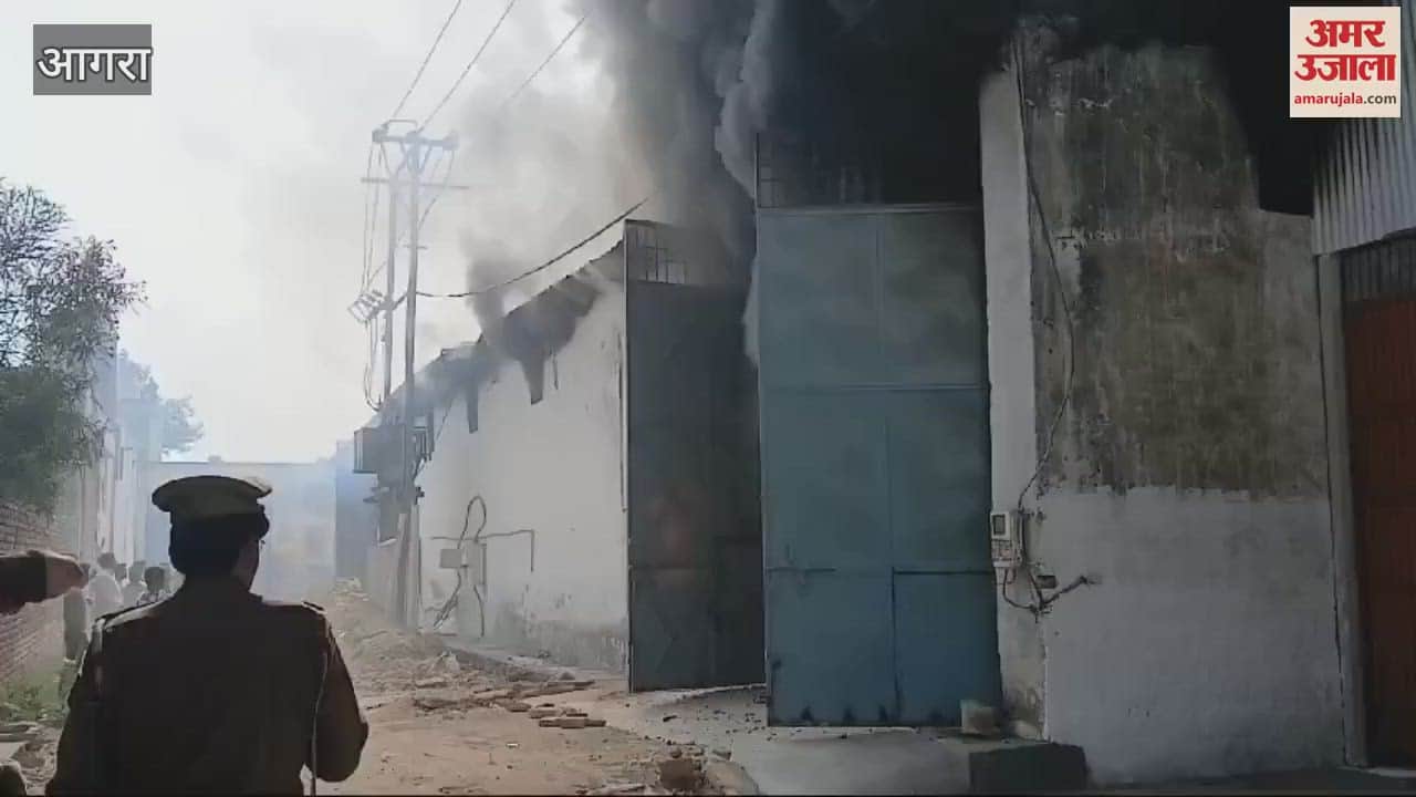 VIDEO : गत्ते के बॉक्स बनाने वाली फैक्टरी में लगी आग, झुलस गया कर्मचारी; हालत गंभीर