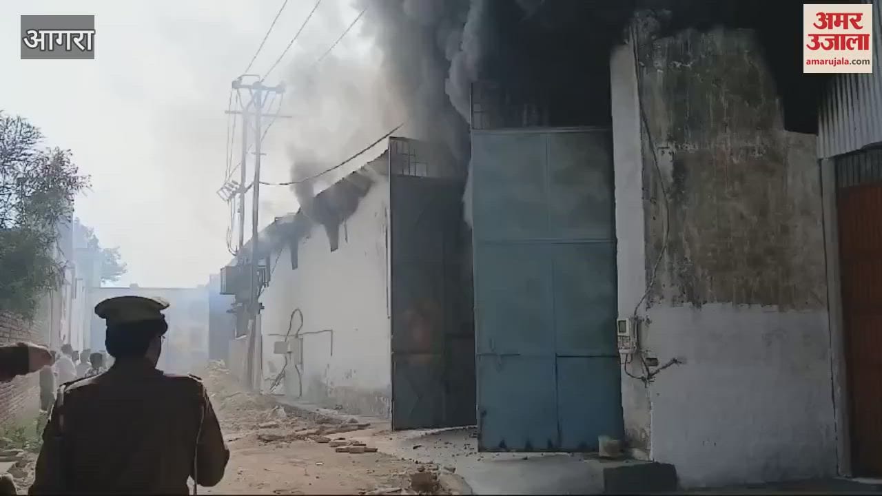 VIDEO : गत्ते के बॉक्स बनाने वाली फैक्टरी में लगी आग, झुलस गया कर्मचारी; हालत गंभीर