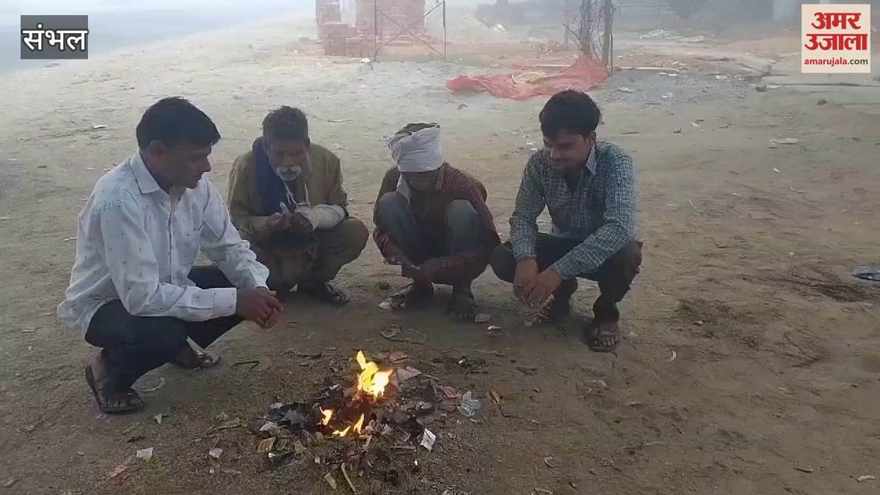 VIDEO : Fog started in Sambhal district, cold increased due to falling temperature