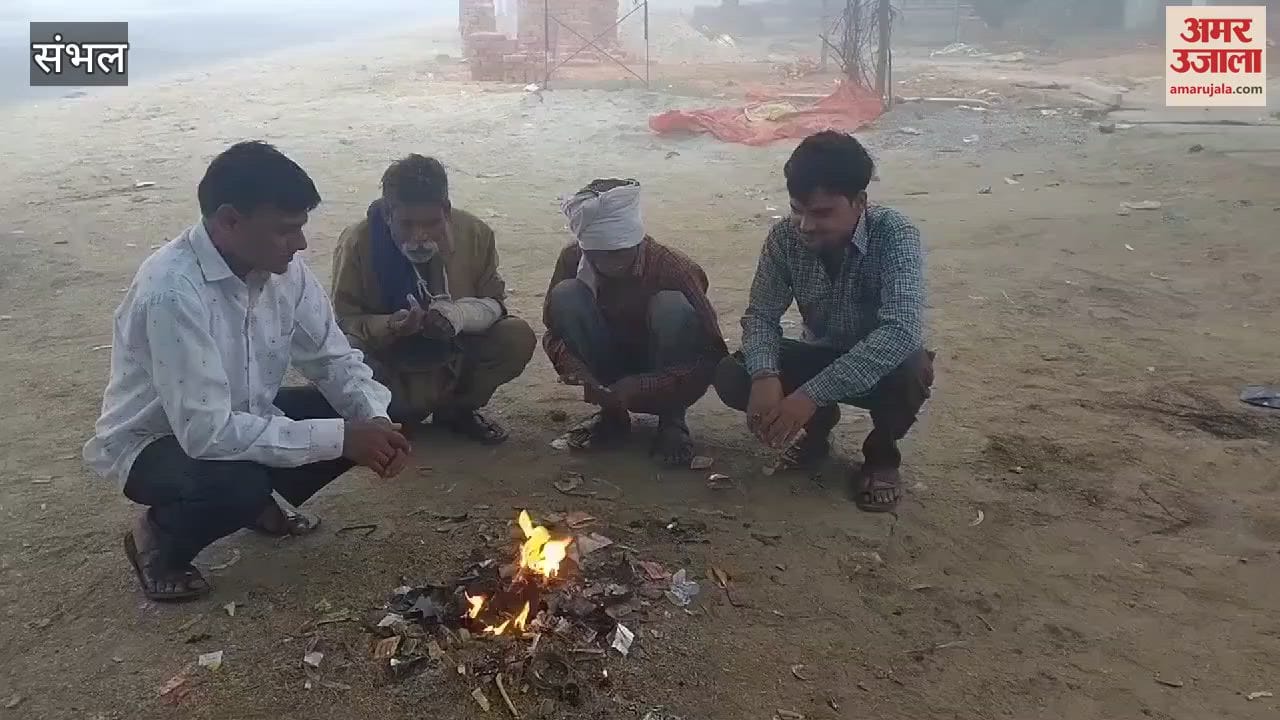 VIDEO : Fog started in Sambhal district, cold increased due to falling temperature