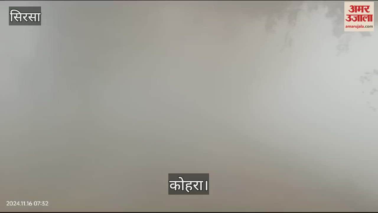 VIDEO : कोहरे ने रोकी रफ्तार, सिरसा में दृश्यता 2 मीटर तक घटी