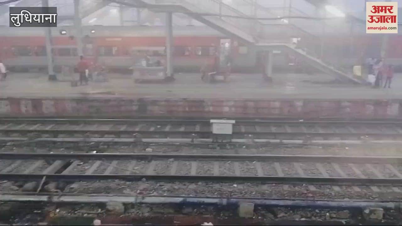 VIDEO : Fog in ludhiana