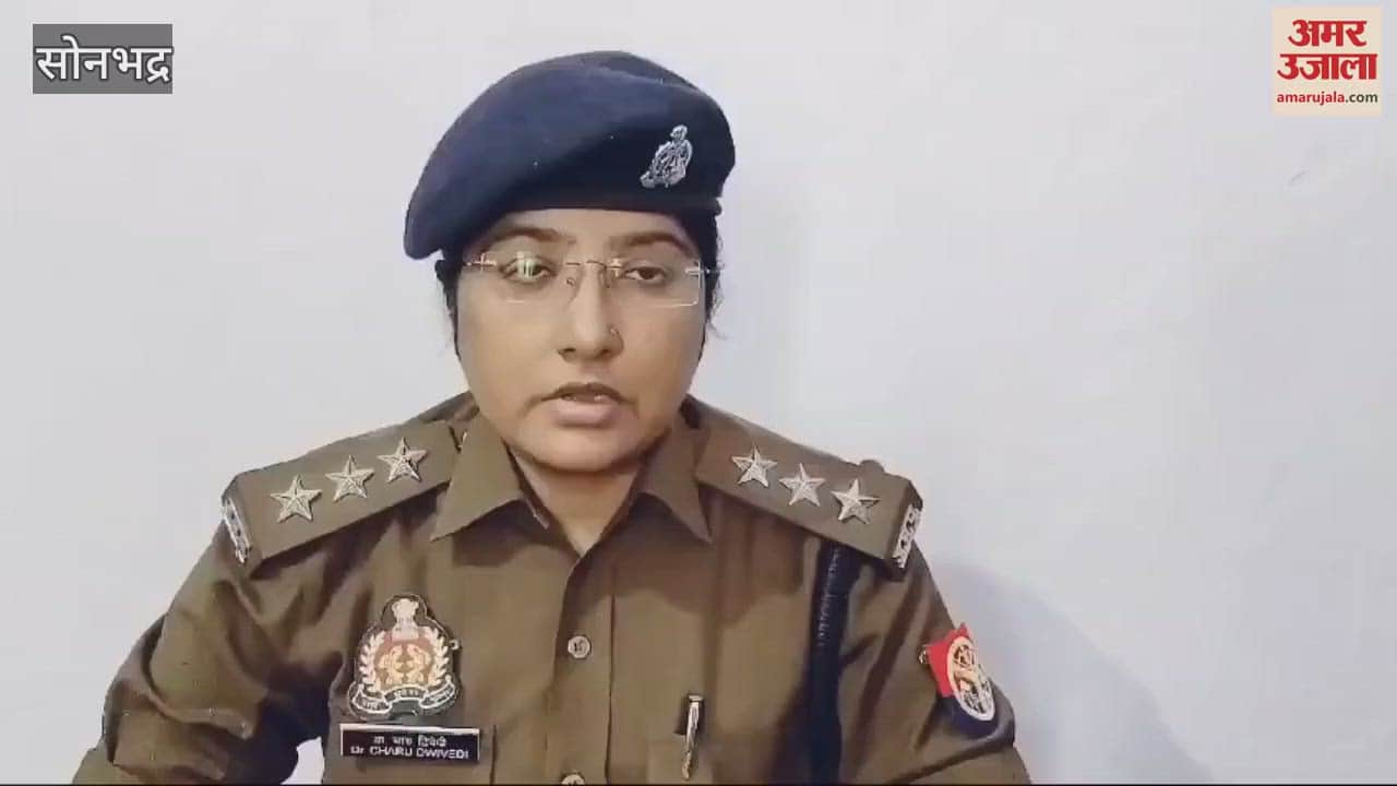 VIDEO : Horrible accident in Sonbhadra DCM broke railing fell ditch driver died goods worth lakhs of rupees vehicle