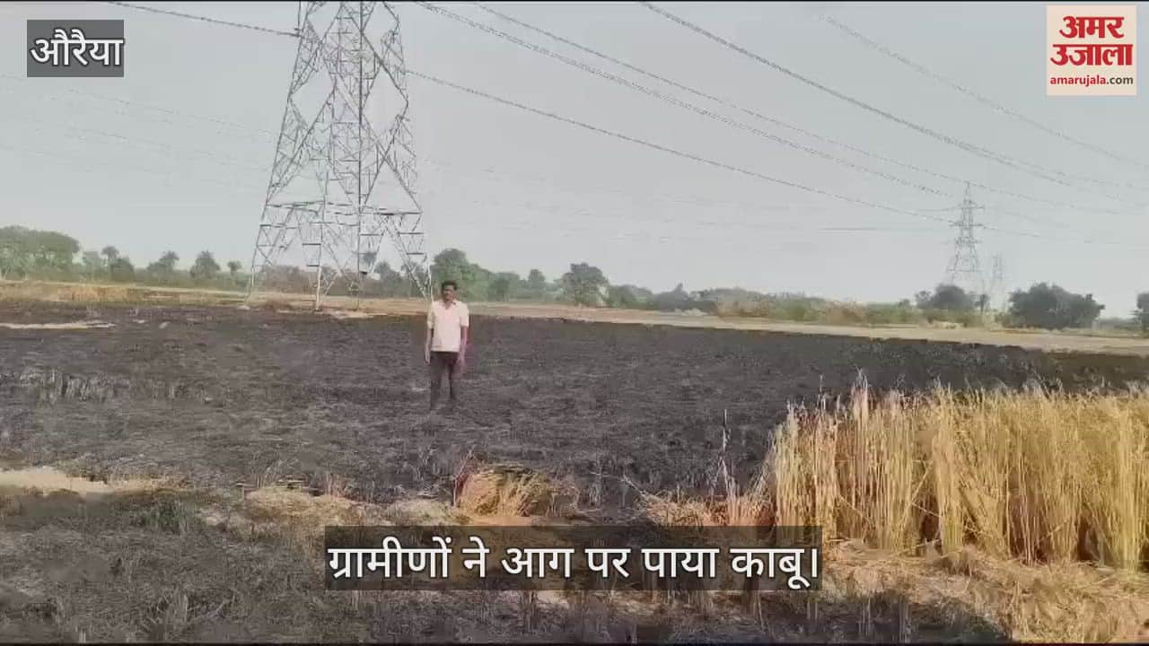 VIDEO : औरैया में अज्ञात कारणों से 22 बीघा धान की फसल जली