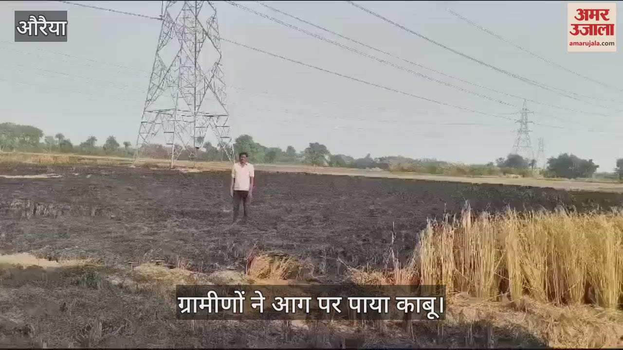 VIDEO : औरैया में अज्ञात कारणों से 22 बीघा धान की फसल जली