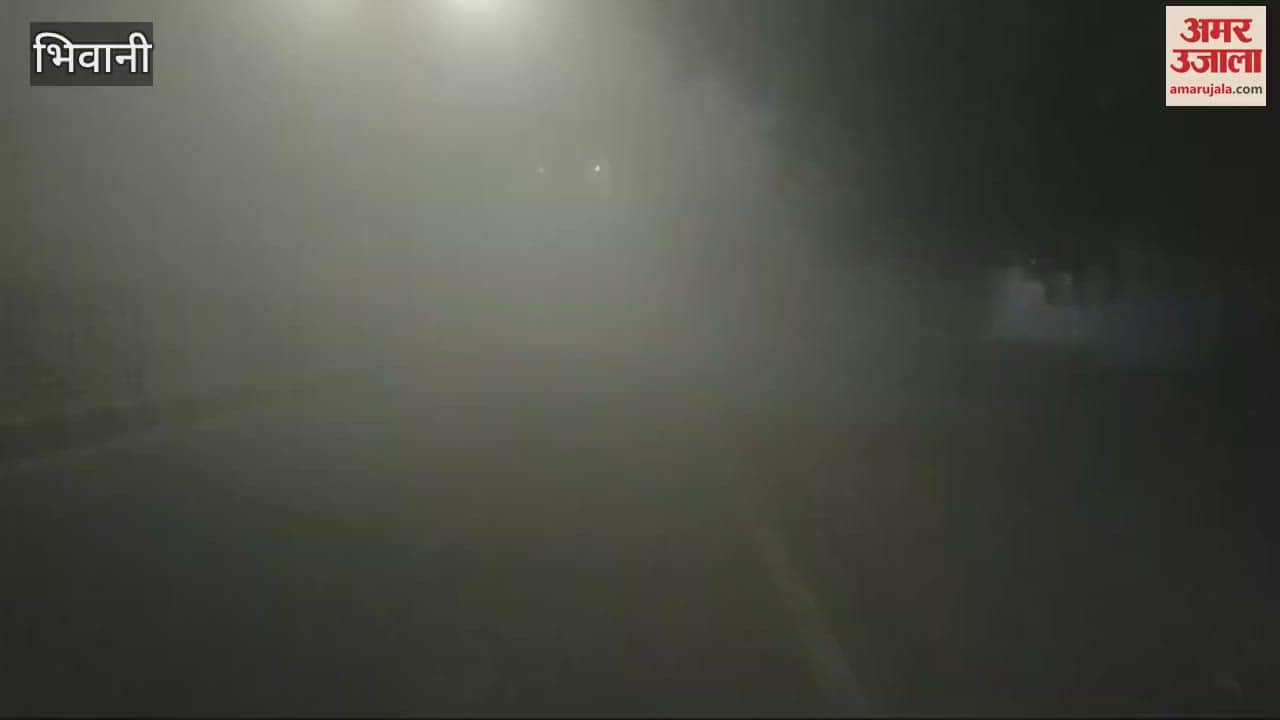 VIDEO : Weather: Environment crisis due to AQI reaching 394 in Bhiwani, smog remained throughout the day