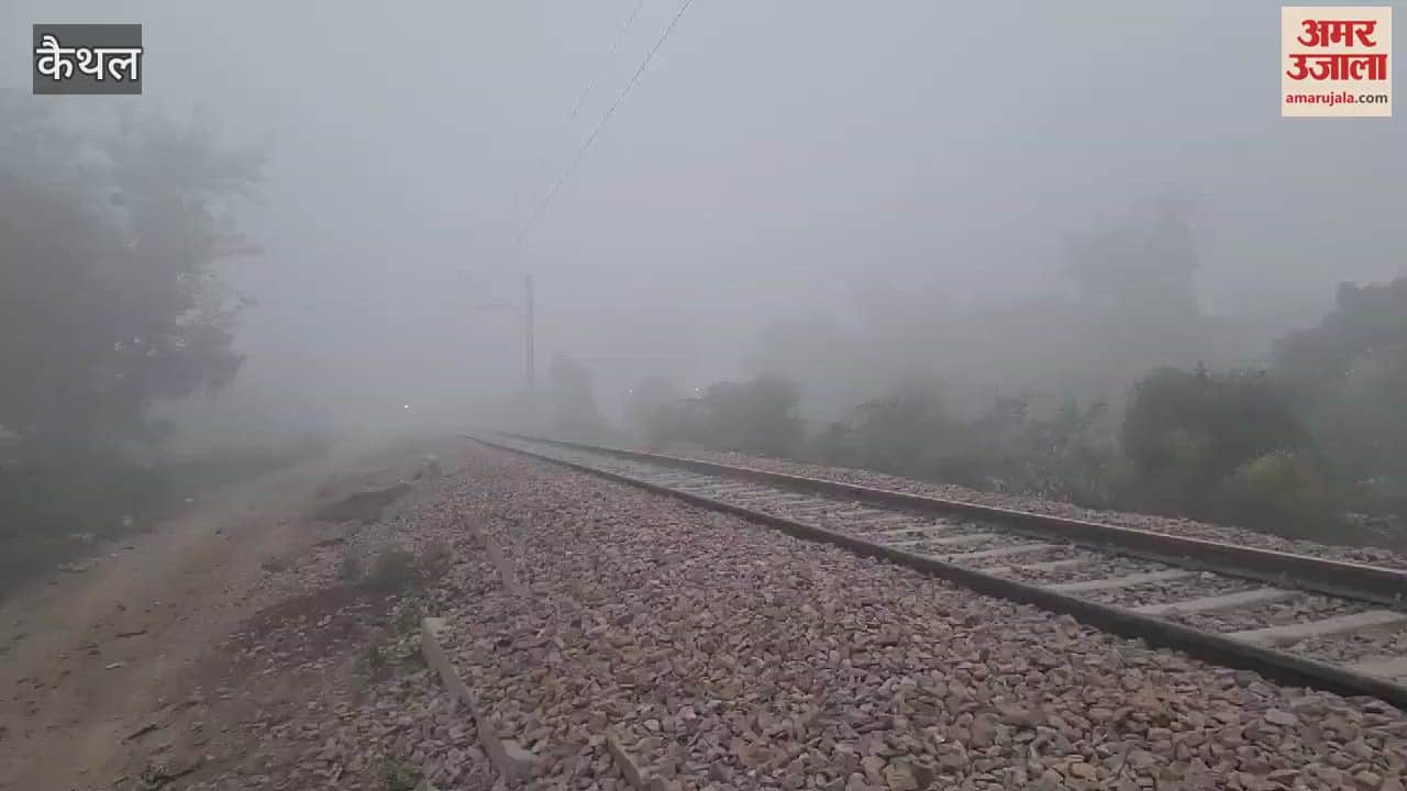 VIDEO : Fog continues to wreak havoc in Kaithal, drivers troubled in morning and evening